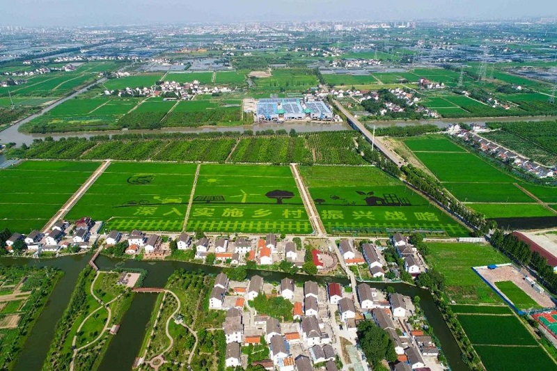 農(nóng)村人居環(huán)境整治提升5年行動將啟！2021中央一號文件正式發(fā)布