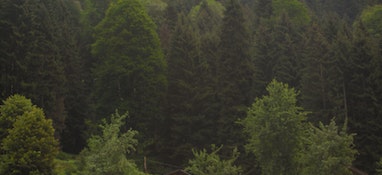 環(huán)境部答復(fù)“建議國(guó)家加大對(duì)固體廢物處理技術(shù)和專項(xiàng)設(shè)備的研發(fā)投入，增加專業(yè)處理機(jī)構(gòu)的數(shù)量”的建議